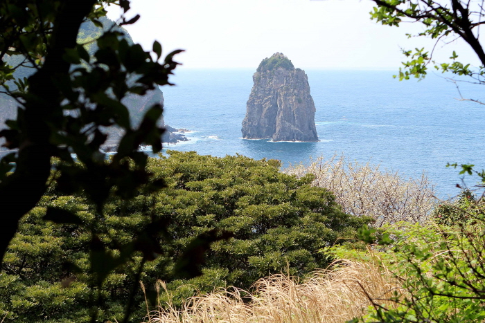 울릉도 가볼만한곳 베스트10 