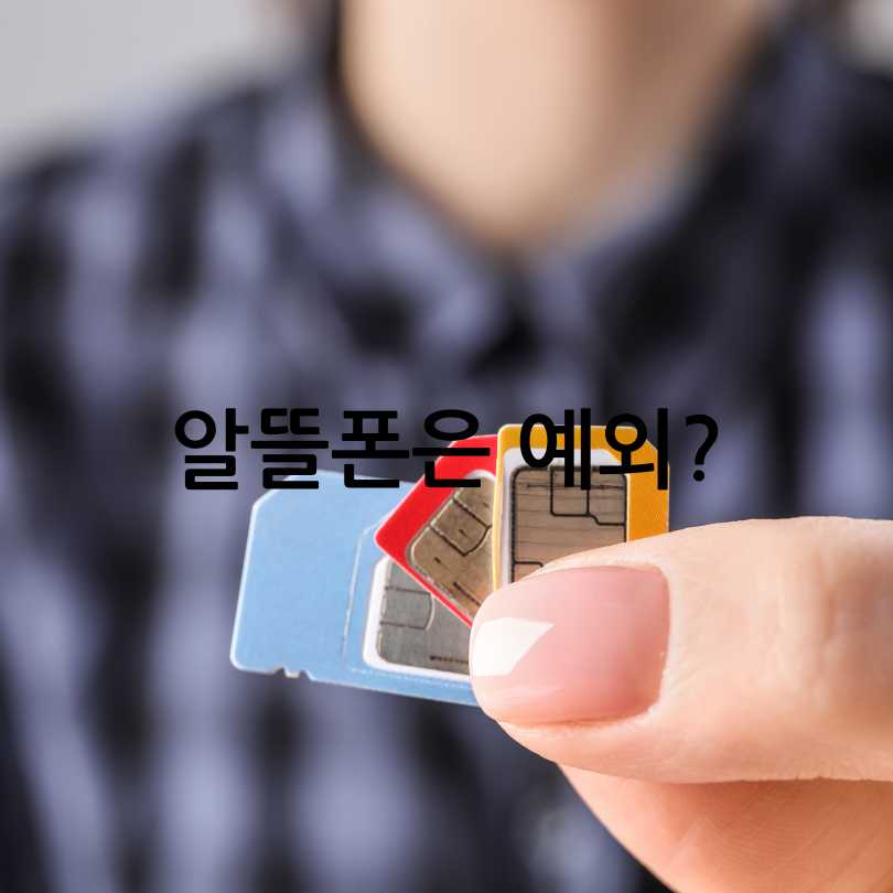 SK유심보호서비스&amp;#44; 해외 로밍