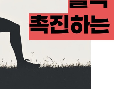 애사비 식초 효능