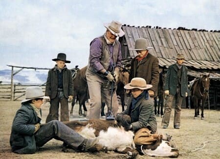 11인의 카우보이