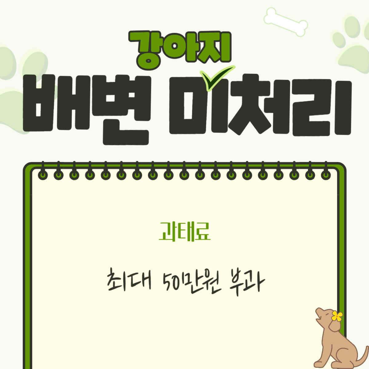 강아지 반려견 동물보호법 벌금 및 과태료 총 정리