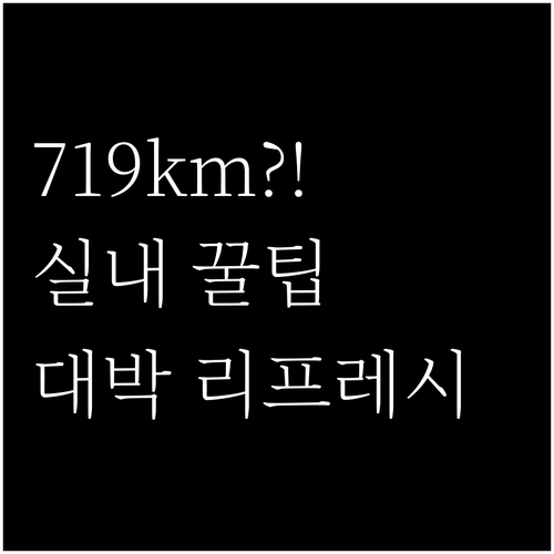 테슬라 모델Y 리프레시 주행거리 71..