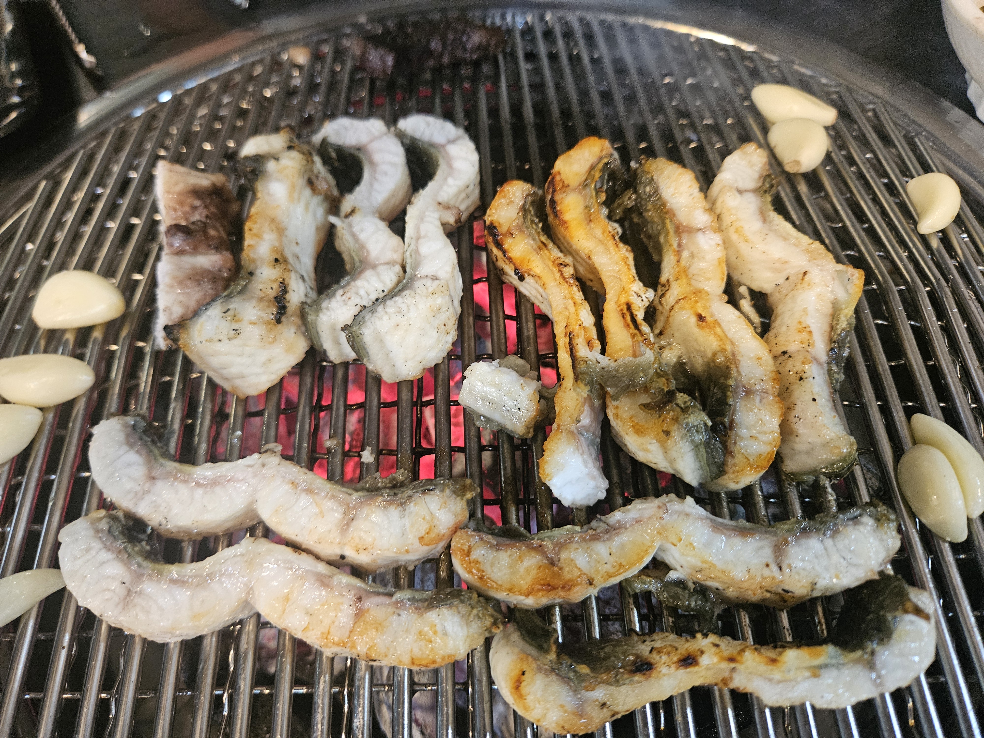 민물장어