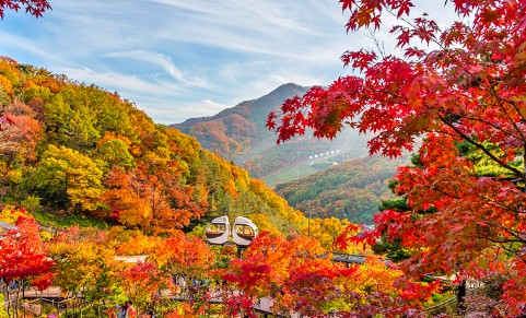 단풍명소