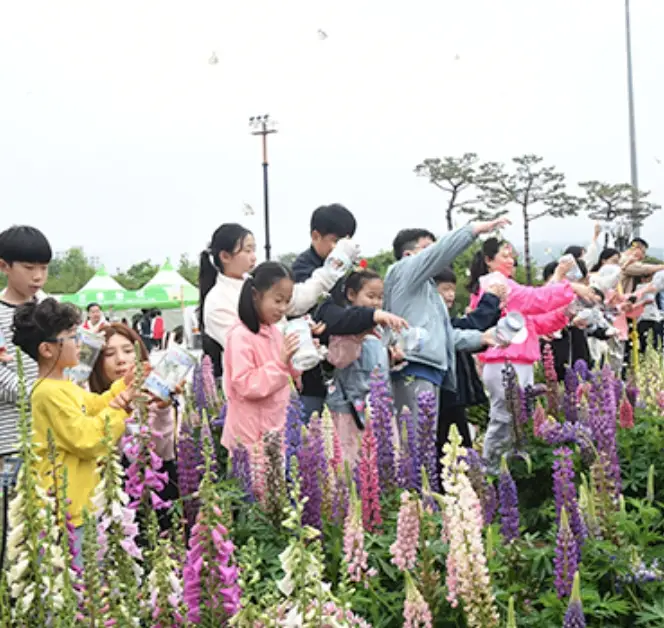 함평나비축제 기간&#44; 주차장&#44; 행사내용