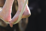 맨발 걷기 부작용