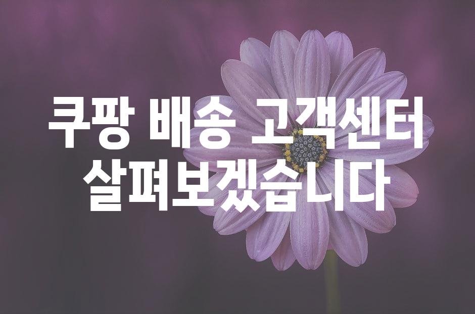 샘플 (50)
