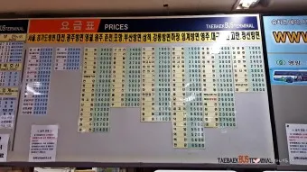 태백 고한 도계 시외버스 터미널 시간표 예매 요금_10