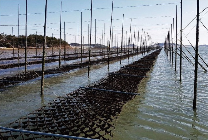 6시내고향 곱창김 조미김 선도돌김 택배 및 구매 전남 목포 해원당 정보