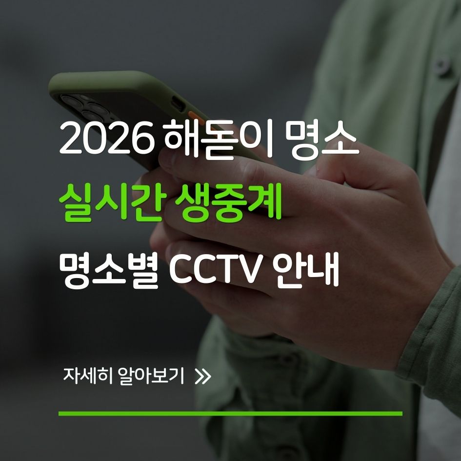 2026 해돋이 실시간 중계와 CCTV 명소 정보