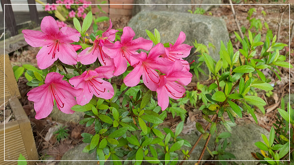 산여울 펜션12