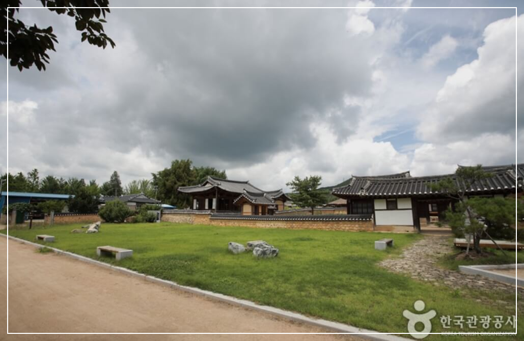 의성 가볼만한곳 베스트10 사촌마을 가로숲