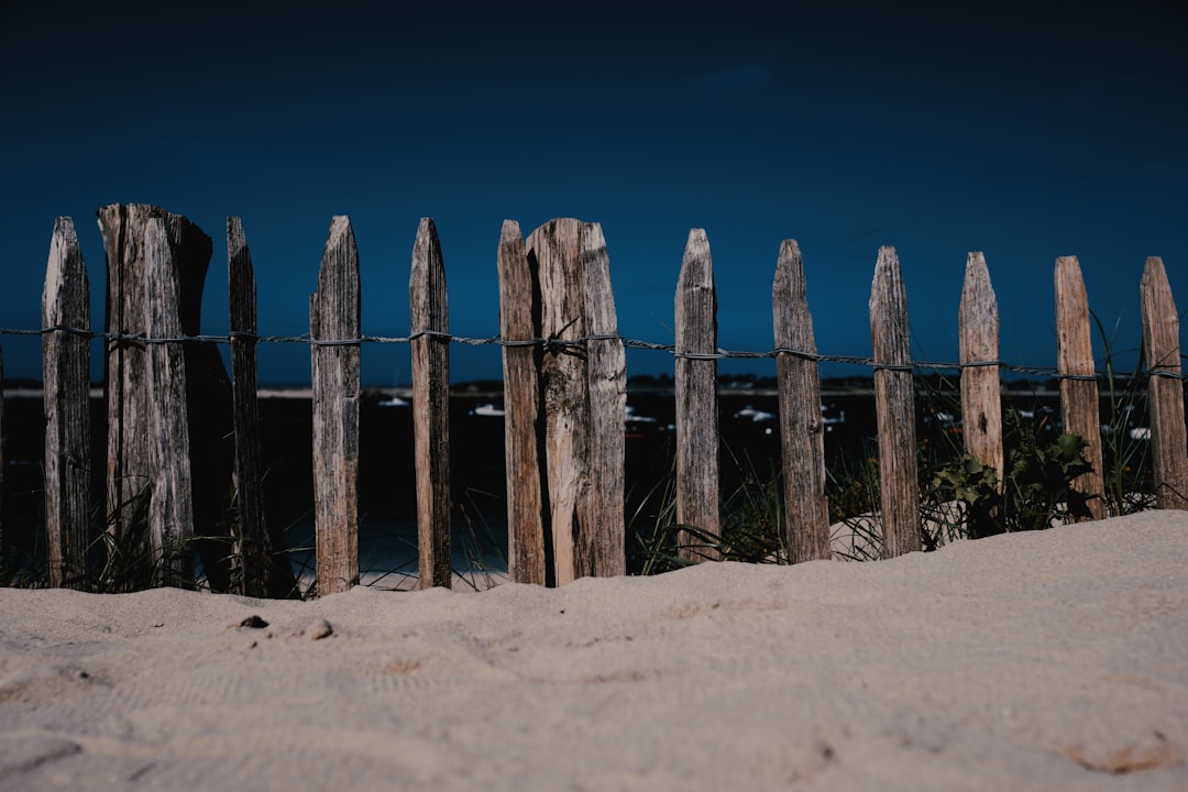 Palisade