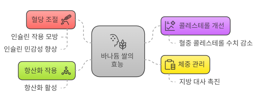 바나듐쌀 효능
