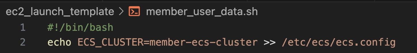 user_data 코드
