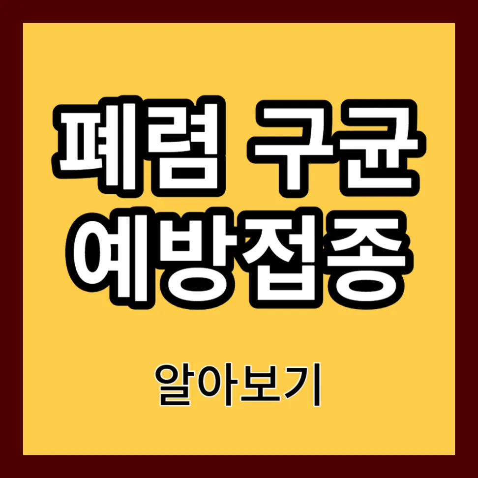 폐렴구균 예방접종