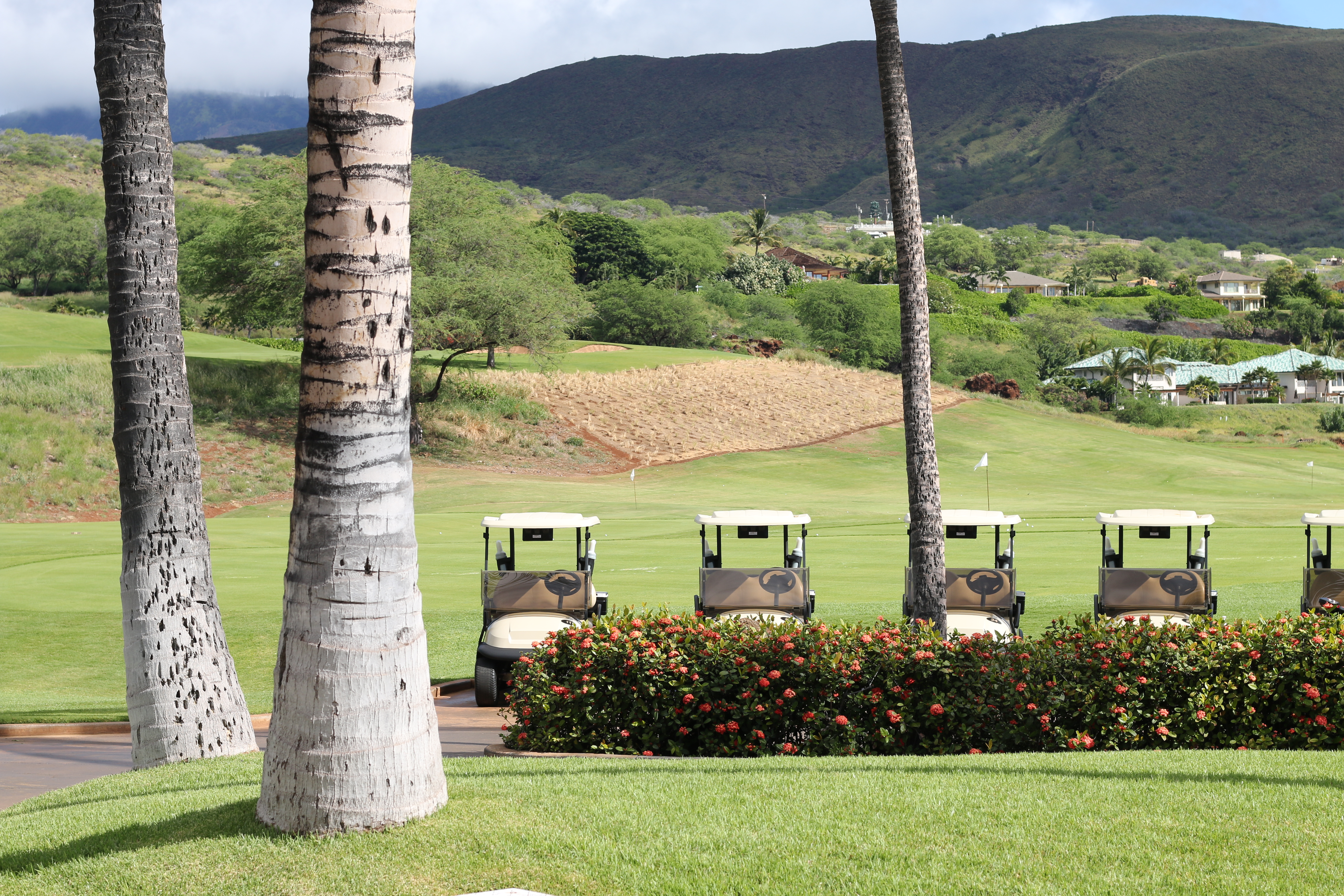 🌴하와이에서 가장 비싼 호텔? 라나이섬 포시즌스 2박 3일 체험기 (신혼여행·여름휴가 추천)