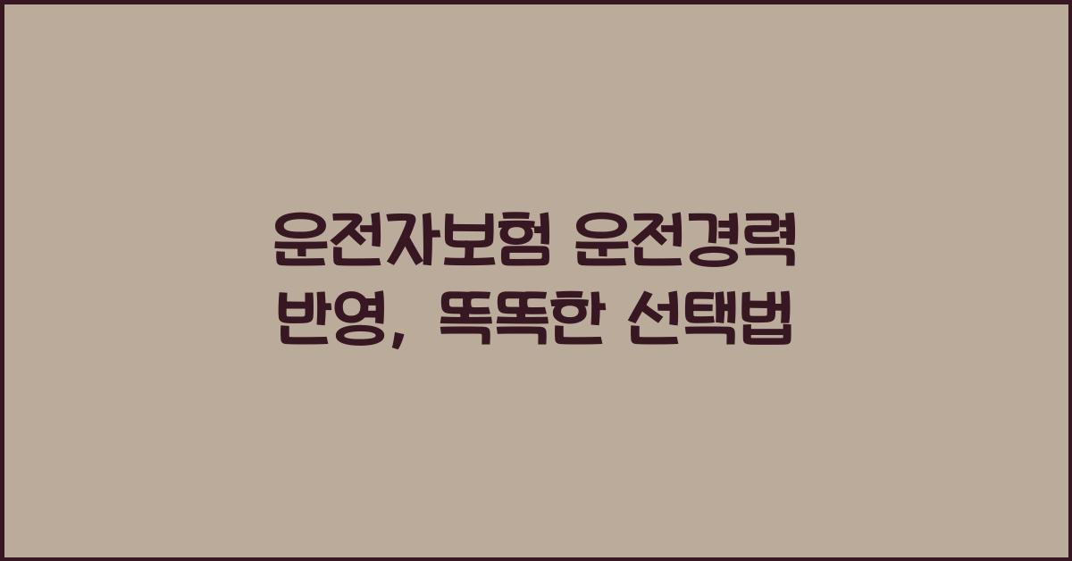 운전자보험 운전경력 반영