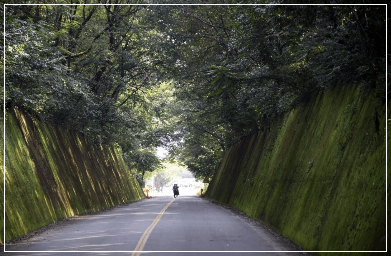 단양 가볼만한곳 베스트10 이끼터널