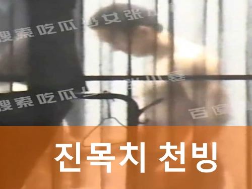 진목치 천빙 사진 유출