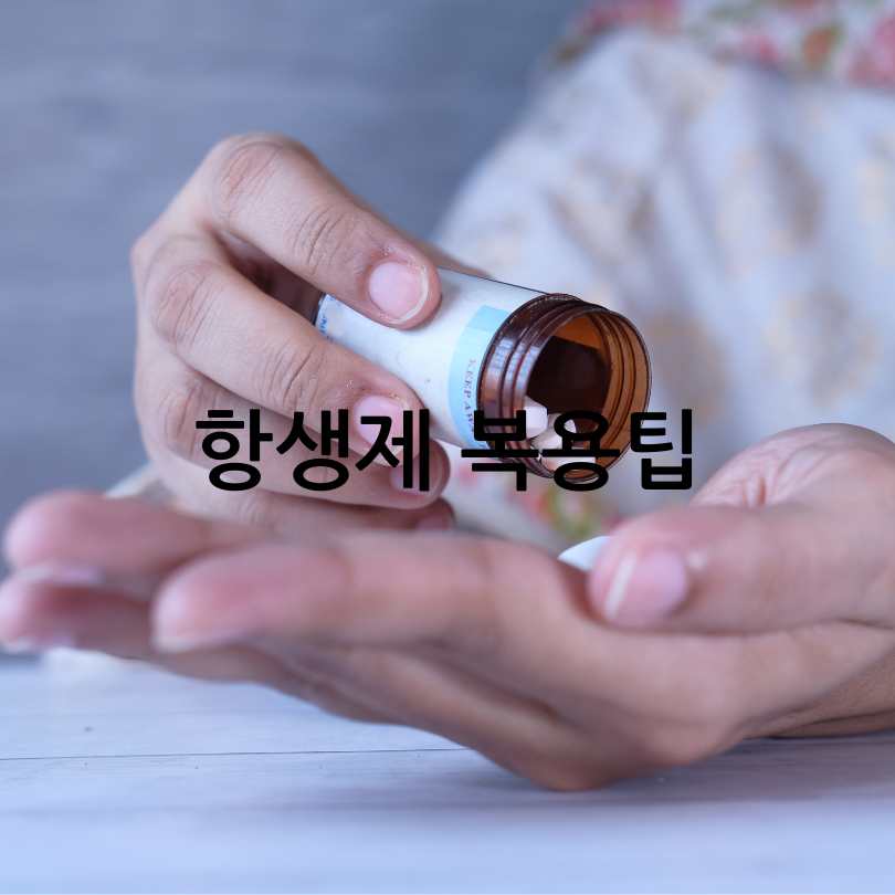 항생제 부작용