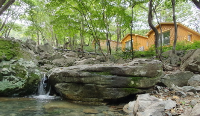 자연휴양림 예약