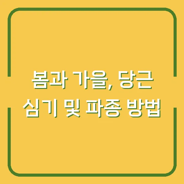 봄과 가을, 당근 심기 및 파종 방법