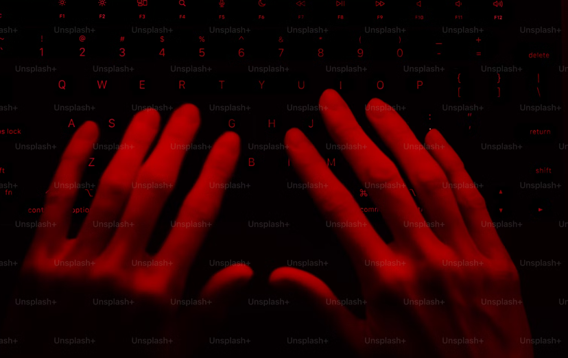 털린 내 정보 찾기 서비스 후기