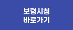 보령시청 바로가기