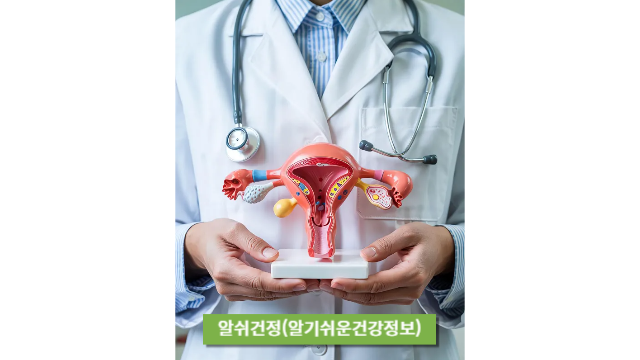 자궁 모형