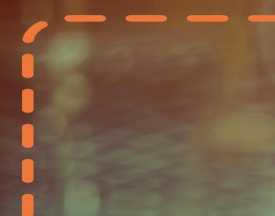 단백뇨 줄이는 방법