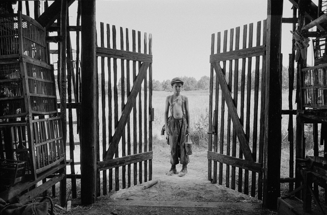 더 페인티드 버드 (The Painted Bird)