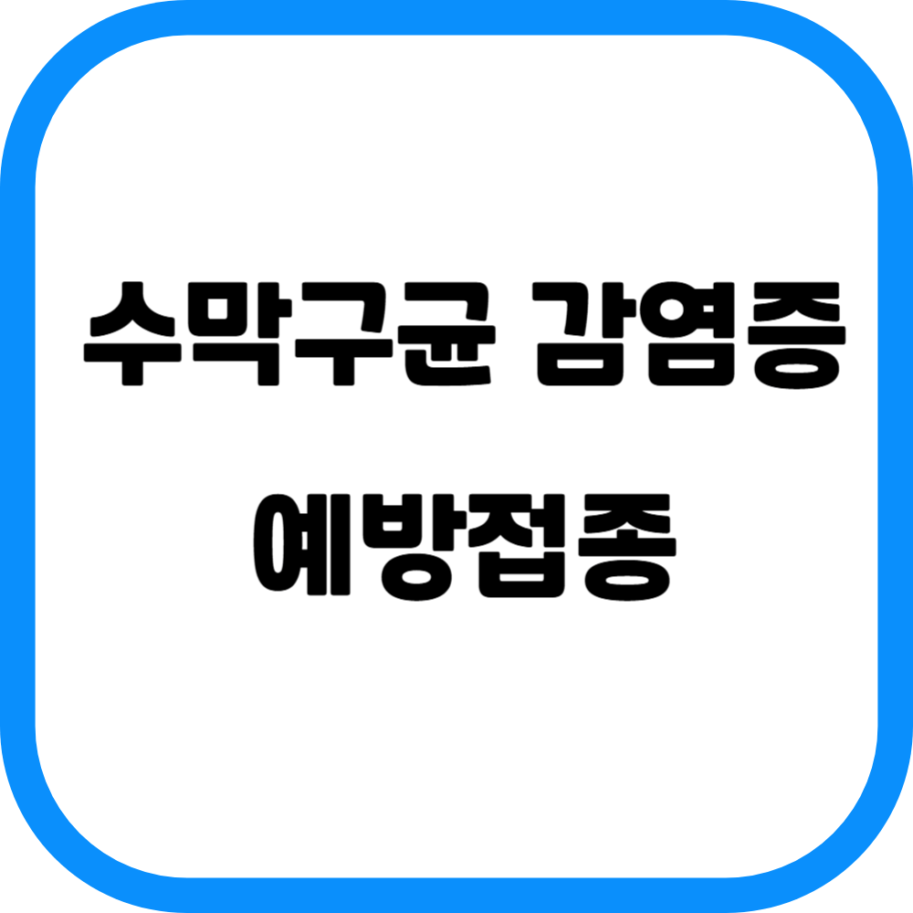 수막구균 감염증 예방접종