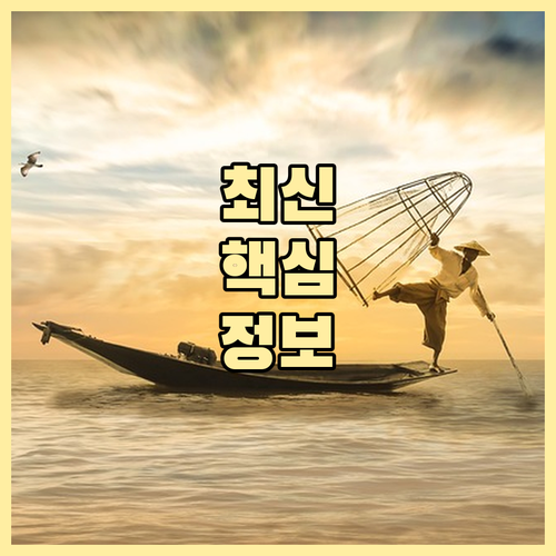 소공동 재활용 분리수거, 투명 페트병..