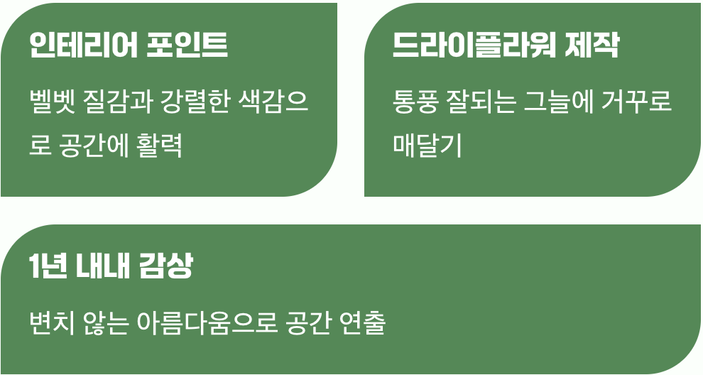 공간을 채우는 독특한 인테리어 소품