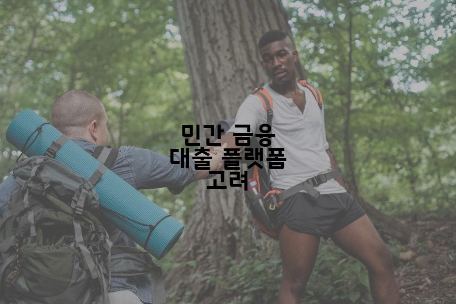 민간 금융 대출 플랫폼 고려