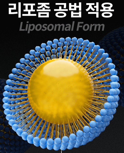 피로좀 공법이란