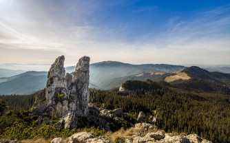 데칼코마니 뜻 쉽게 이해하기 3