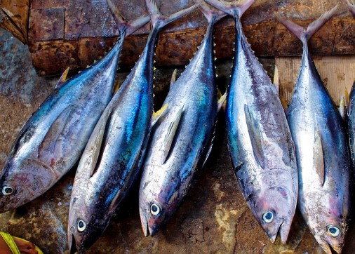 건강식품이라 착각하기 쉬운 음식 부작용 - 코코넛오일, 과일주스, 스포츠음료, 단백질쉐이크, 저지방샐러드드레싱, 가공치즈, 마가린, 저지방우유, 말린과일, 상황버섯, 등푸른생선, 감자