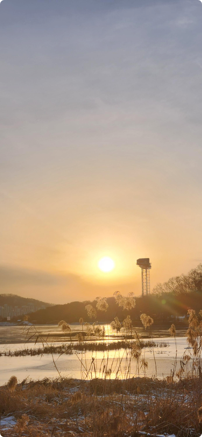 율동공원 나폴레옹