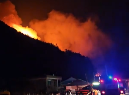 인제 기린면 산불