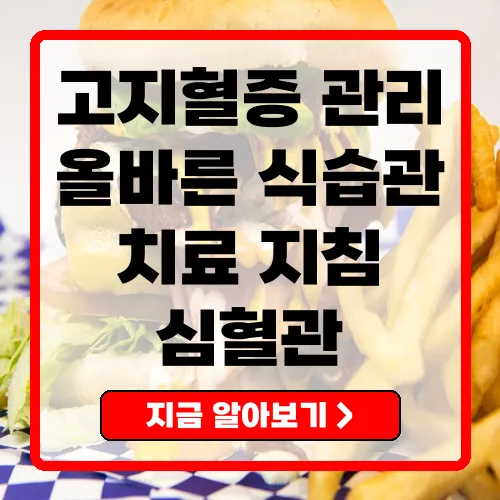 고지혈증 관리와 예방 치료 지침과 올바른 식습관
