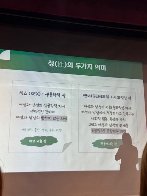 손경이박사