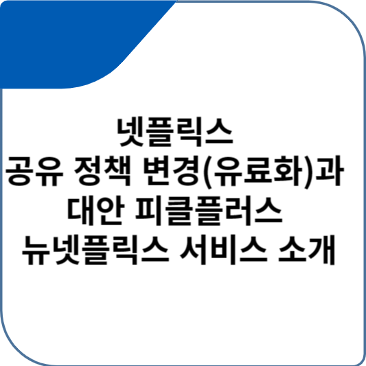 넷플릭스 공유 정책 변경(유료화)과 대안 피클플러스 서비스 소개