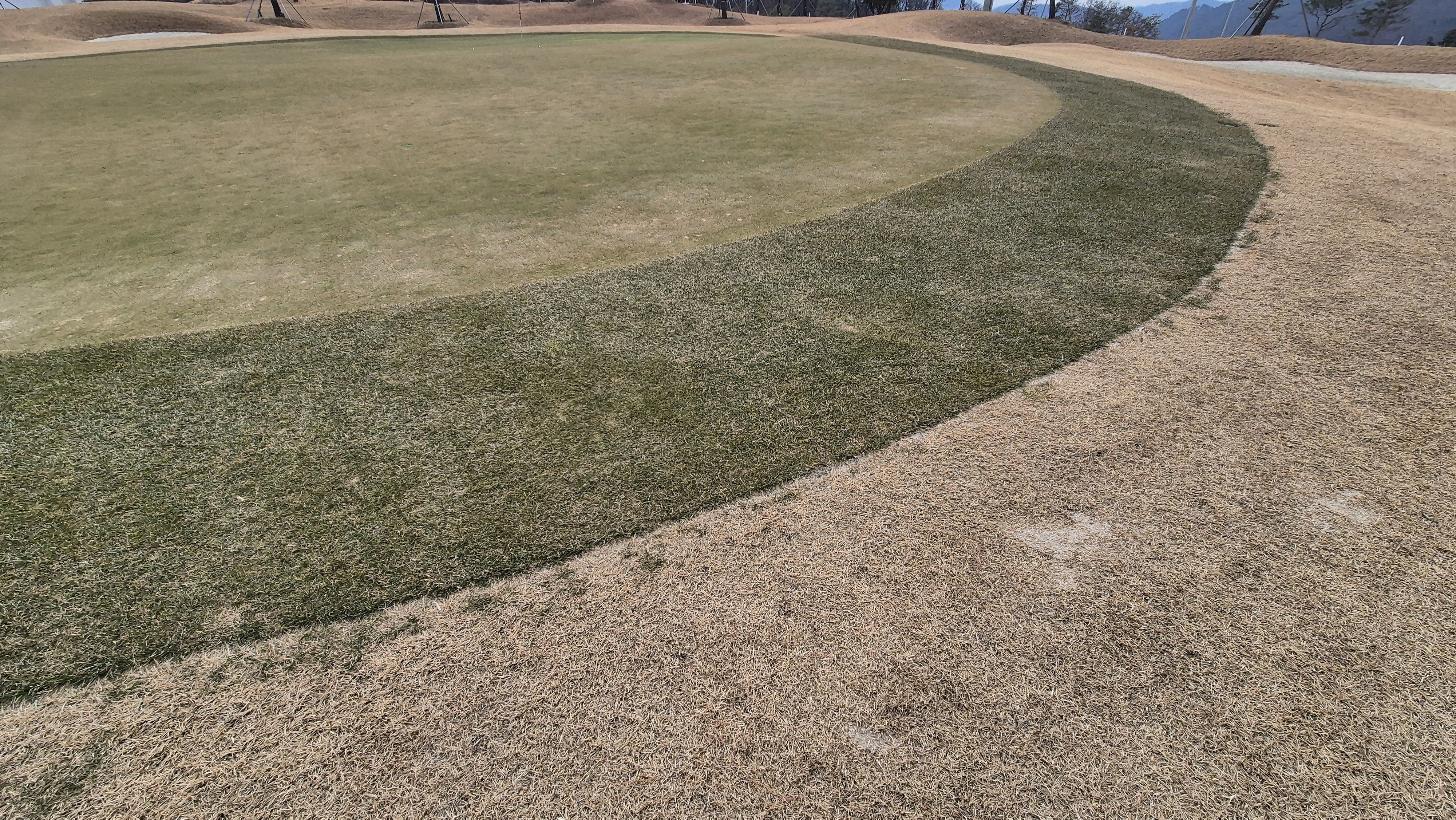 모나크cc 라운드 후기 그린관리상태