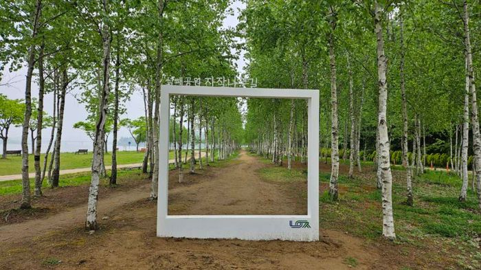 남양주 삼패 공원 맨발 걷기