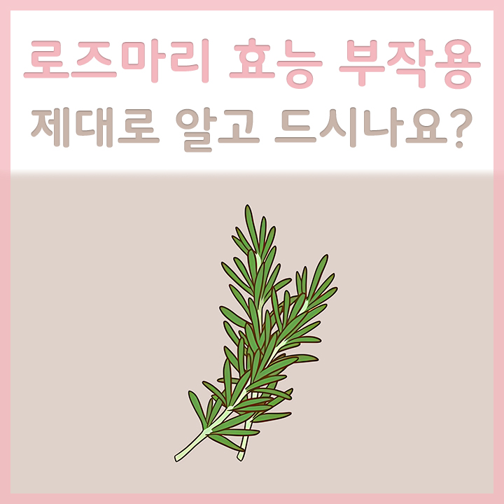 로즈마리