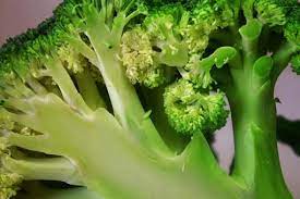 뼈에 좋은 음식