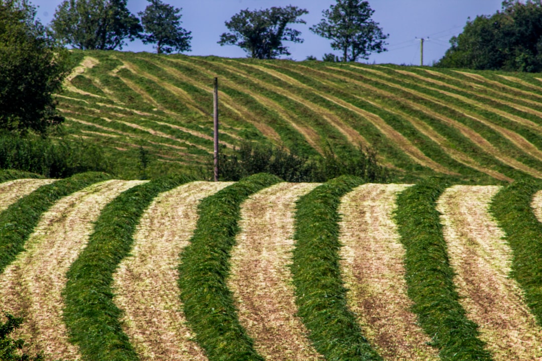 Agricultural Finance
