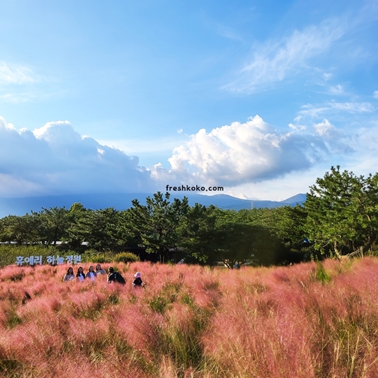 10월 제주도 가볼만한곳 10곳